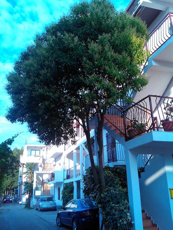 אולסינץ' Apartmani Dado מראה חיצוני תמונה