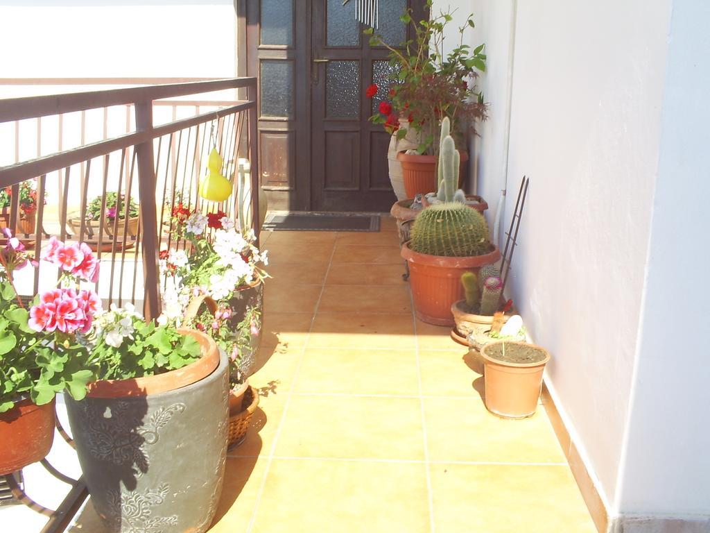 אולסינץ' Apartmani Dado מראה חיצוני תמונה